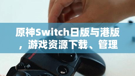 原神Switch日版与港版，游戏资源下载、管理及差异全解析