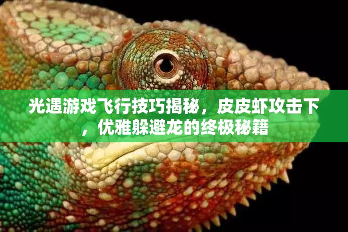 光遇游戏飞行技巧揭秘，皮皮虾攻击下，优雅躲避龙的终极秘籍