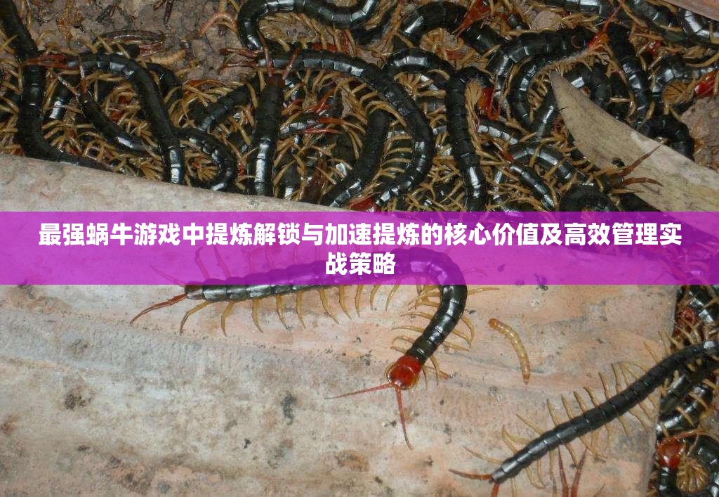 最强蜗牛游戏中提炼解锁与加速提炼的核心价值及高效管理实战策略