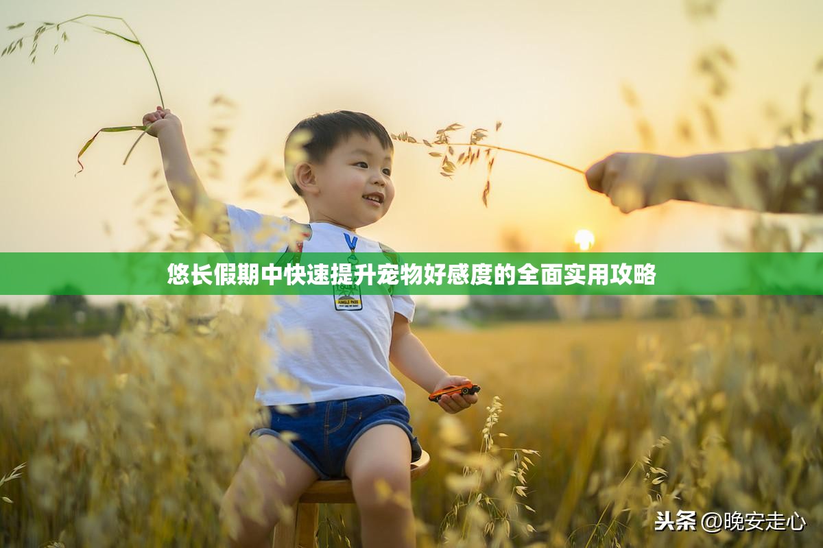 悠长假期中快速提升宠物好感度的全面实用攻略