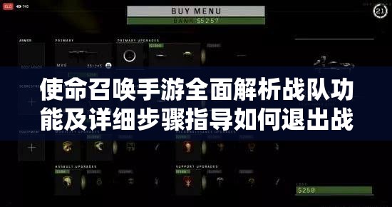 使命召唤手游全面解析战队功能及详细步骤指导如何退出战队