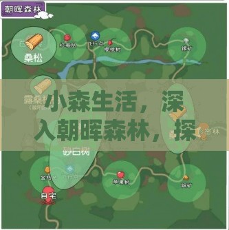 小森生活，深入朝晖森林，探索丰富资源并实施高效管理策略