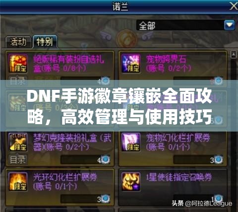 DNF手游徽章镶嵌全面攻略，高效管理与使用技巧大揭秘