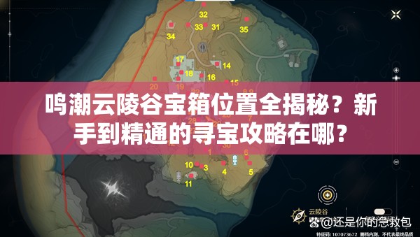 鸣潮云陵谷宝箱位置全揭秘？新手到精通的寻宝攻略在哪？