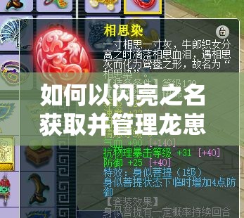 如何以闪亮之名获取并管理龙崽双形态，与神秘夜渊共舞的秘诀？