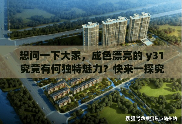 想问一下大家，成色漂亮的 y31 究竟有何独特魅力？快来一探究竟