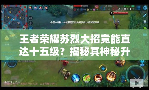 王者荣耀苏烈大招竟能直达十五级？揭秘其神秘升级方法！