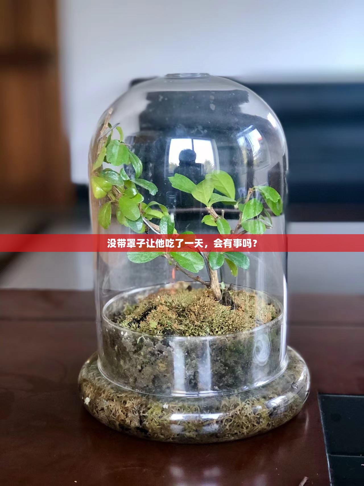 没带罩子让他吃了一天，会有事吗？
