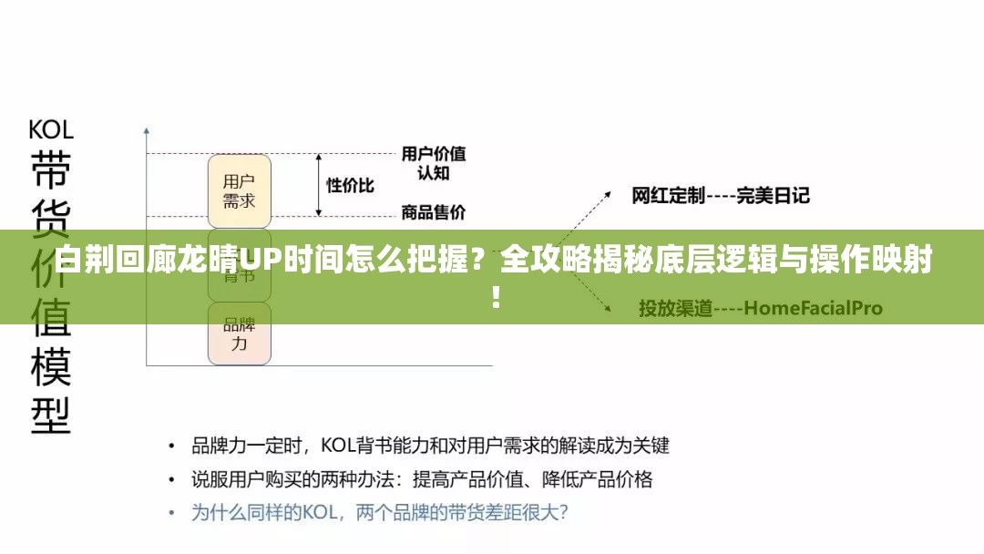 白荆回廊龙晴UP时间怎么把握？全攻略揭秘底层逻辑与操作映射！