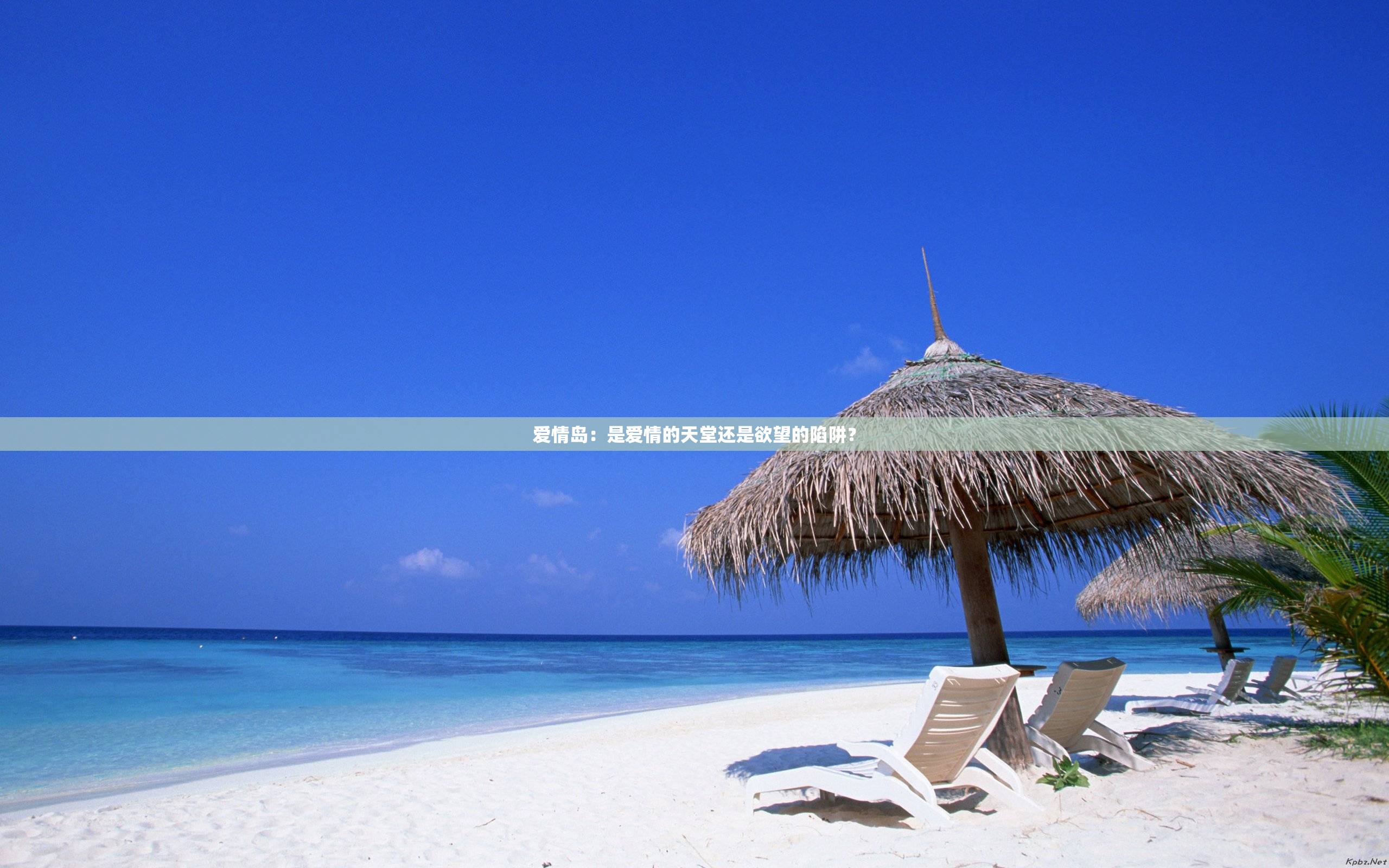爱情岛：是爱情的天堂还是欲望的陷阱？