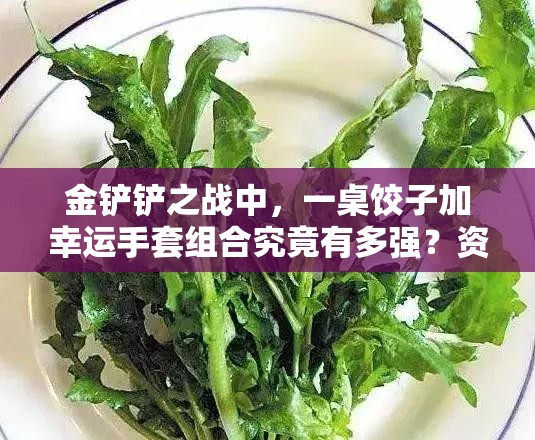 金铲铲之战中，一桌饺子加幸运手套组合究竟有多强？资源管理策略揭秘！