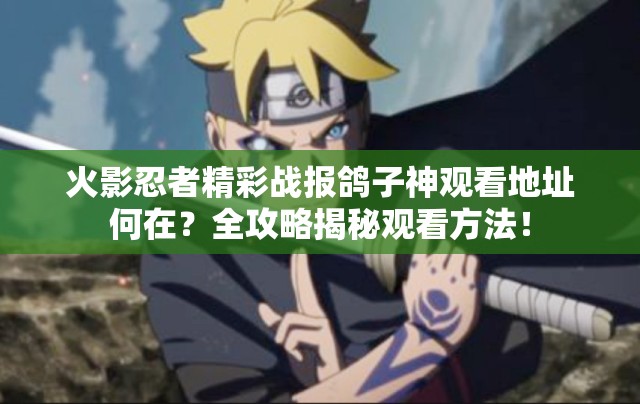火影忍者精彩战报鸽子神观看地址何在？全攻略揭秘观看方法！