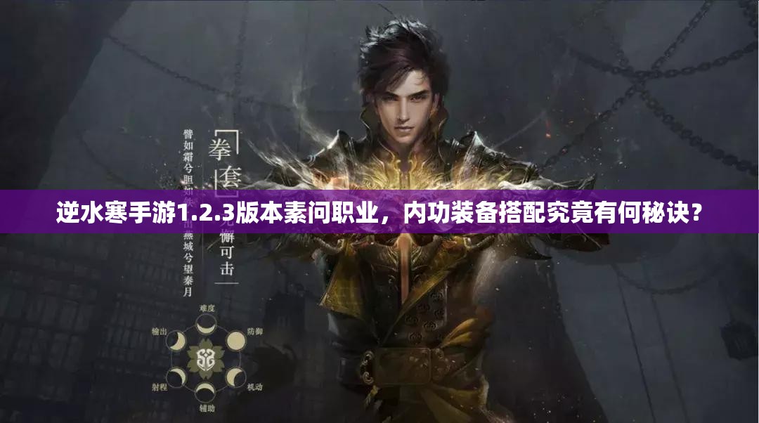 逆水寒手游1.2.3版本素问职业，内功装备搭配究竟有何秘诀？