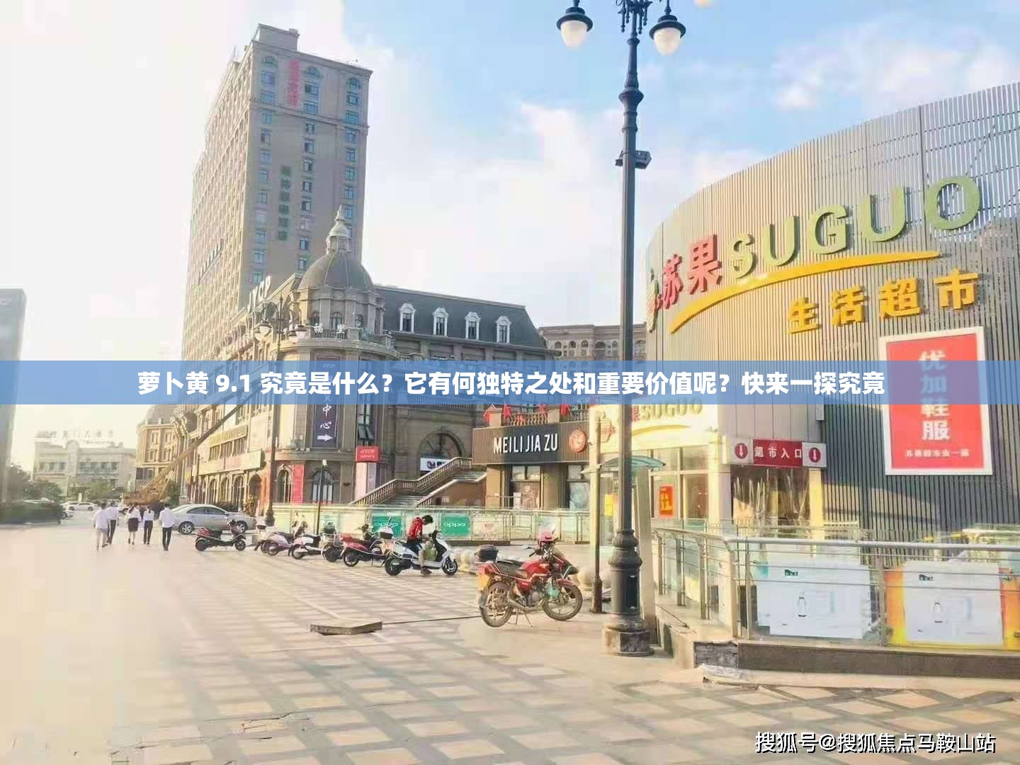 萝卜黄 9.1 究竟是什么？它有何独特之处和重要价值呢？快来一探究竟