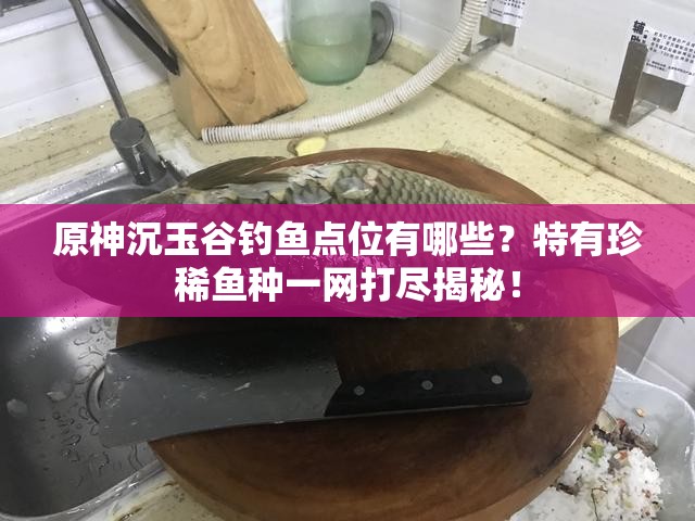 原神沉玉谷钓鱼点位有哪些？特有珍稀鱼种一网打尽揭秘！