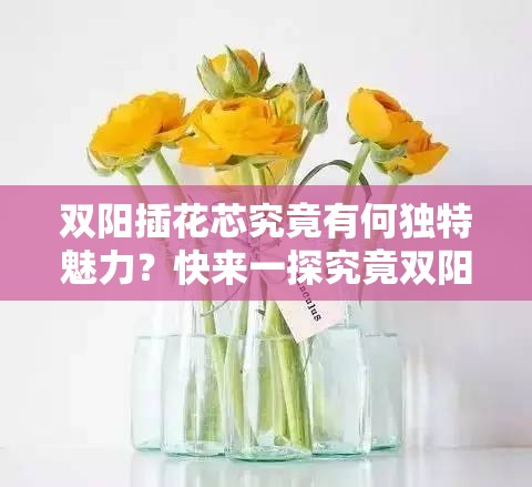 双阳插花芯究竟有何独特魅力？快来一探究竟双阳插花芯全面解读