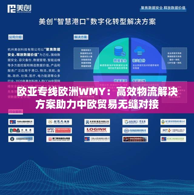 欧亚专线欧洲WMY：高效物流解决方案助力中欧贸易无缝对接