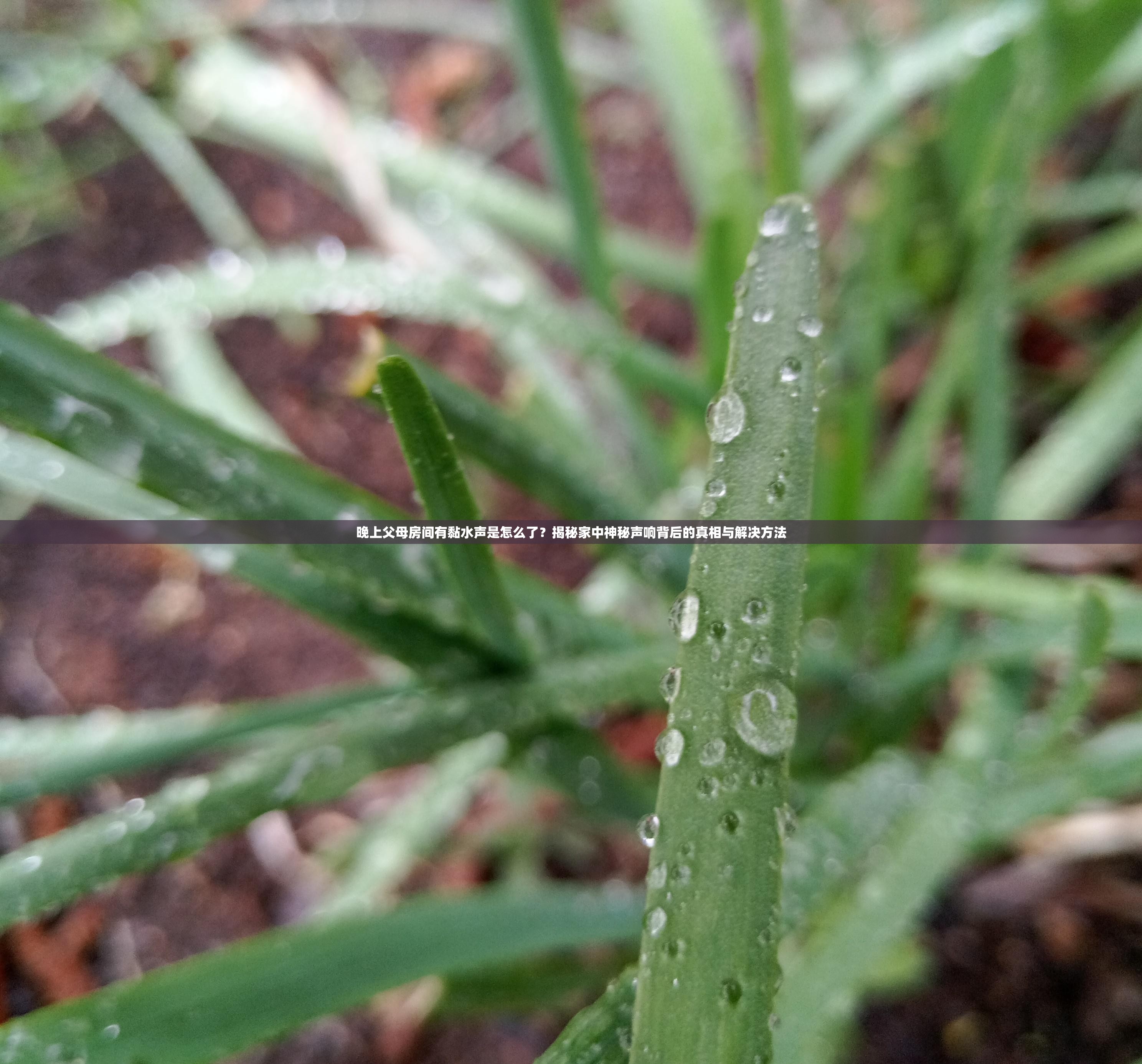 晚上父母房间有黏水声是怎么了？揭秘家中神秘声响背后的真相与解决方法