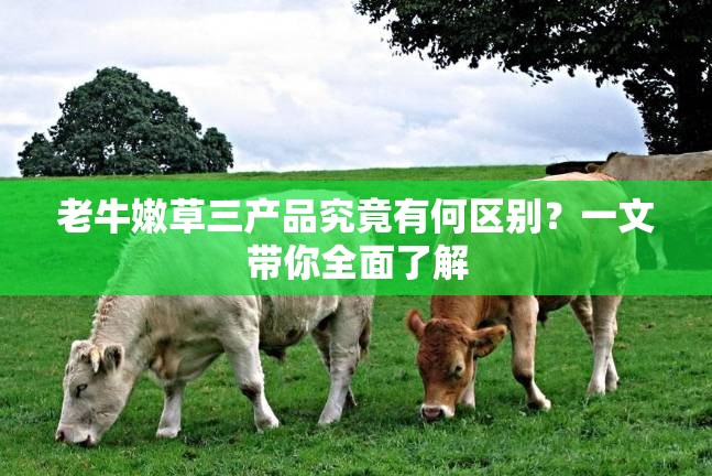老牛嫩草三产品究竟有何区别？一文带你全面了解
