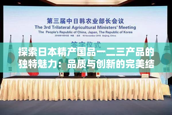 探索日本精产国品一二三产品的独特魅力：品质与创新的完美结合