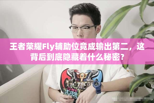 王者荣耀Fly辅助位竟成输出第二，这背后到底隐藏着什么秘密？