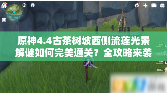 原神4.4古茶树坡西侧流莲光景解谜如何完美通关？全攻略来袭！