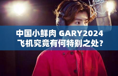 中国小鲜肉 GARY2024 飞机究竟有何特别之处？引发全网热议