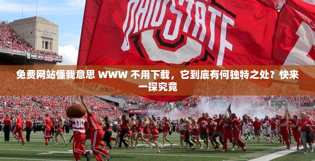 免费网站懂我意思 WWW 不用下载，它到底有何独特之处？快来一探究竟