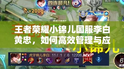 王者荣耀小锦儿国服李白黄忠，如何高效管理与应用视角资源？
