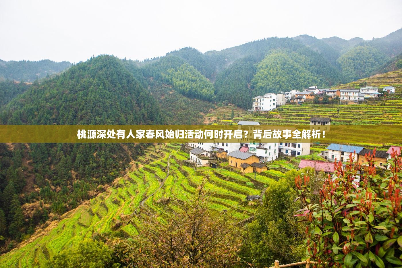 桃源深处有人家春风始归活动何时开启？背后故事全解析！