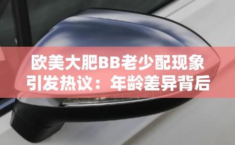 欧美大肥BB老少配现象引发热议：年龄差异背后的社会观念与情感需求探讨