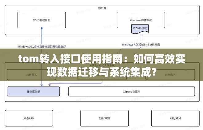 tom转入接口使用指南：如何高效实现数据迁移与系统集成？