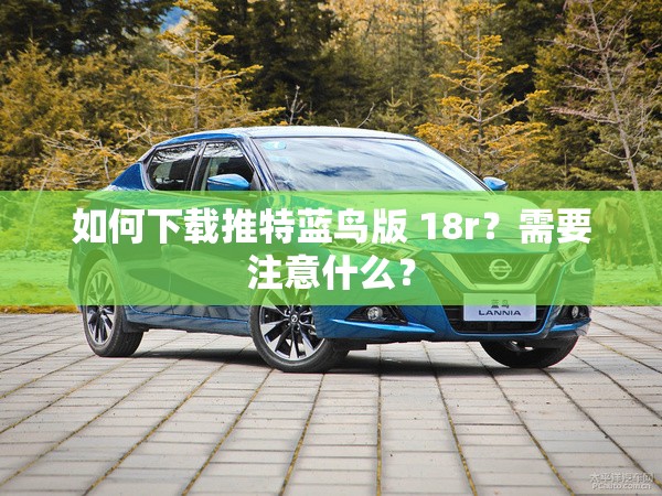 如何下载推特蓝鸟版 18r？需要注意什么？