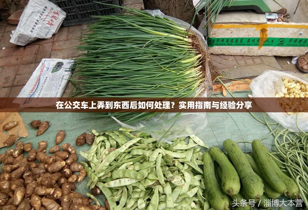 在公交车上弄到东西后如何处理？实用指南与经验分享