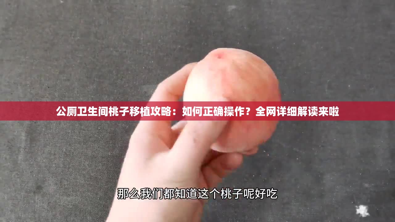 公厕卫生间桃子移植攻略：如何正确操作？全网详细解读来啦