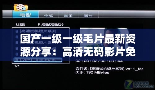 国产一级一级毛片最新资源分享：高清无码影片免费在线观看与下载指南