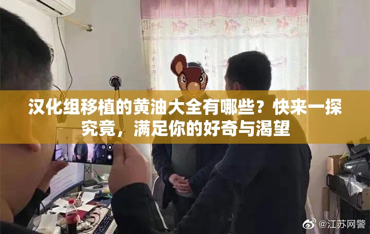 汉化组移植的黄油大全有哪些？快来一探究竟，满足你的好奇与渴望