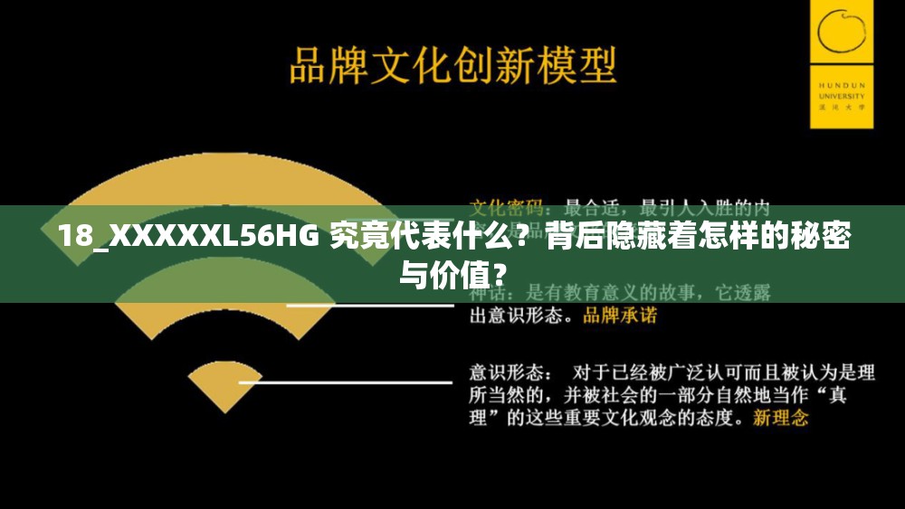 18_XXXXXL56HG 究竟代表什么？背后隐藏着怎样的秘密与价值？