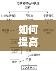 如何提高体内新陈代谢速率？专家解答