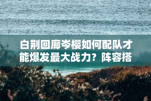 白荆回廊岑樱如何配队才能爆发最大战力？阵容搭配及构筑攻略揭秘