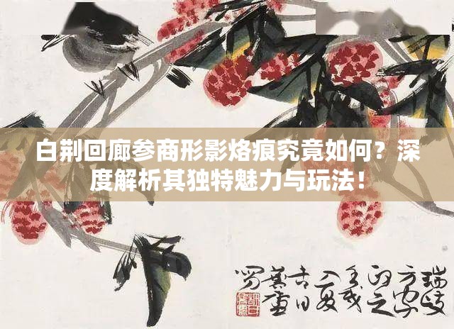 白荆回廊参商形影烙痕究竟如何？深度解析其独特魅力与玩法！