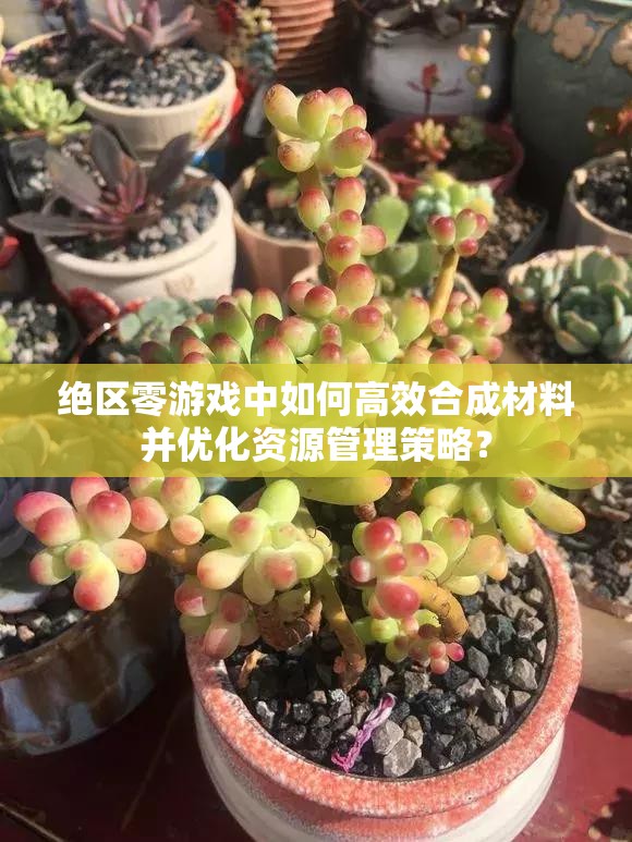 绝区零游戏中如何高效合成材料并优化资源管理策略？