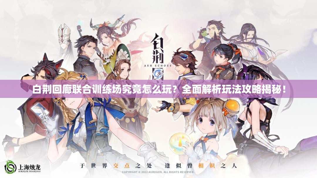 白荆回廊联合训练场究竟怎么玩？全面解析玩法攻略揭秘！