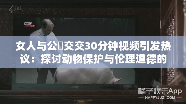 女人与公豬交交30分钟视频引发热议：探讨动物保护与伦理道德的社会反思