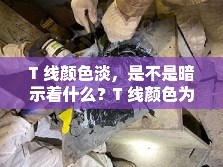 T 线颜色淡，是不是暗示着什么？T 线颜色为何如此之淡？专家解读背后的秘密你的 T 线颜色正常吗？自查 T 线颜色的小技巧注意T 线颜色淡可能是这个原因T 线颜色淡，别忽视这个问题T 线颜色淡，这些症状你有吗？T 线颜色浅，是好孕还是另有隐情？T 线颜色不明显，可能是这个原因T 线颜色淡，该如何应对？T 线颜色浅，这些因素你需要了解