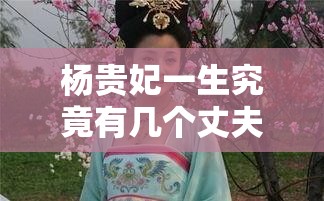 杨贵妃一生究竟有几个丈夫？探寻这位古代美人的婚姻传奇杨贵妃的情感历程：究竟她一共有过几个丈夫？真相令人好奇想知道杨贵妃一共有几个丈夫吗？带你揭开这段历史的神秘面纱