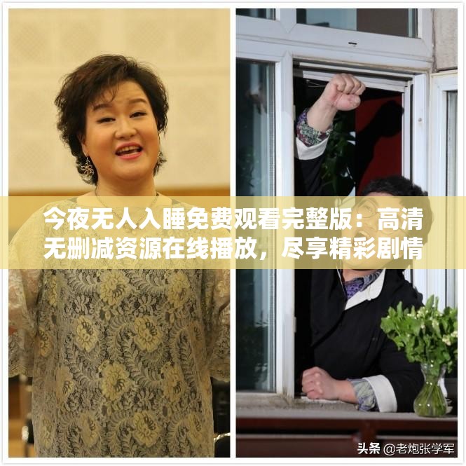 今夜无人入睡免费观看完整版：高清无删减资源在线播放，尽享精彩剧情