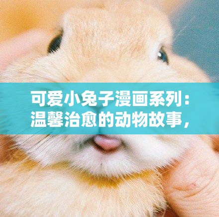可爱小兔子漫画系列：温馨治愈的动物故事，带你感受萌宠的无限魅力与欢乐时光