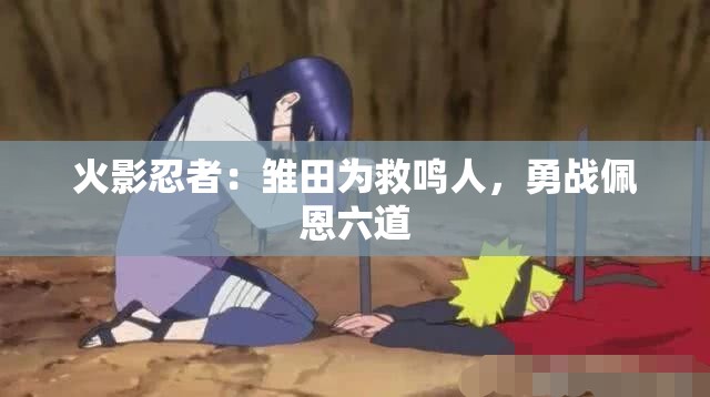 火影忍者：雏田为救鸣人，勇战佩恩六道