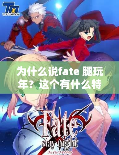 为什么说fate 腿玩年？这个有什么特别之处？